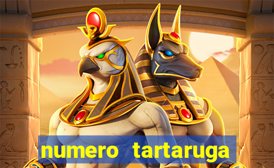 numero tartaruga jogo do bicho